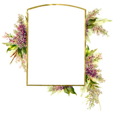 frame decor png.